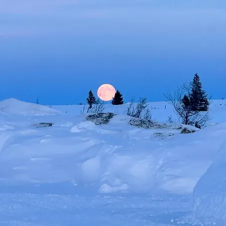 Feriehus Modern Mountain With Nature In Valdres