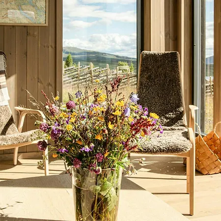 Modern Mountain With Nature In Valdres